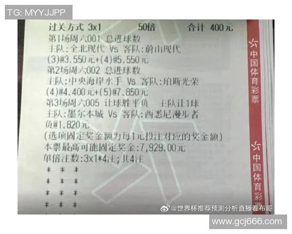 中央海岸与珀斯光的精彩对决比分揭晓赛季最新战况分析